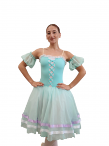 Costumi saggio danza